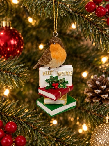 New hanging robin on book - –,