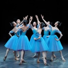 Long Romantic Ballet Tutu Blue