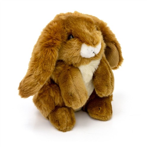 Soft plush bunny rabbit - soft,