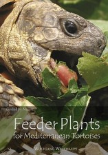 Edible Tortoise Food Guide