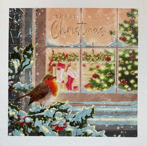 Charity christmas card robin - charity,