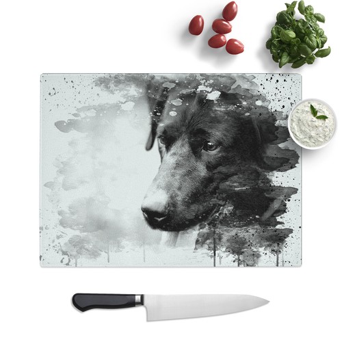 Black labrador dog - labrador, glass