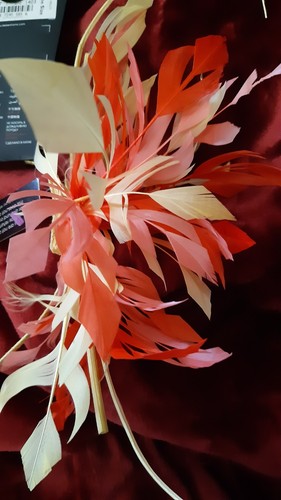 Brand new tagged - brand, ladies