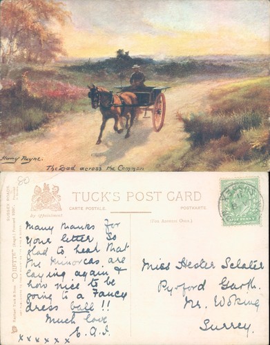 Horse and carriage - , on