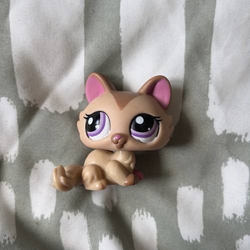 Littlest pet shop - pet, cat