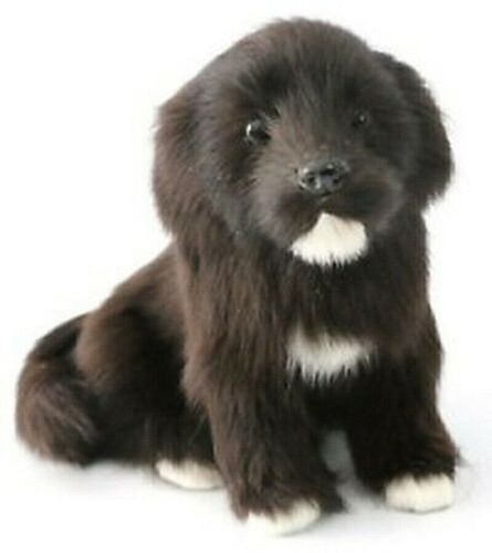 Black labrador stuffed - stuffed, animal