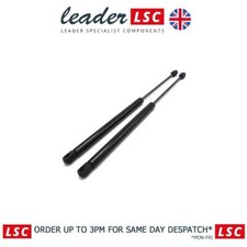PAIR OF TAILGATE BOOT STRUTS