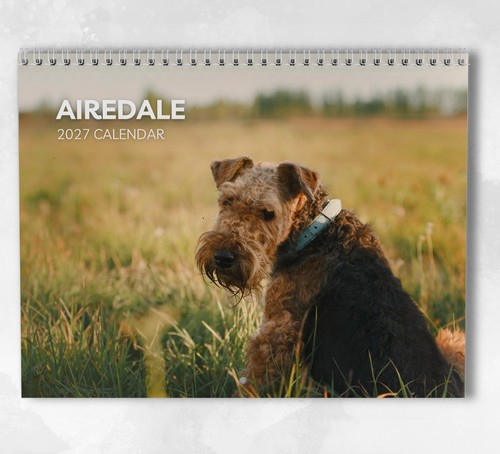 Airedale calendar 2027 - airedale,
