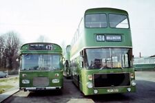 Bus Photo - Maidstone & District LKT131F Panther & LKP385P Ailsa two shot
