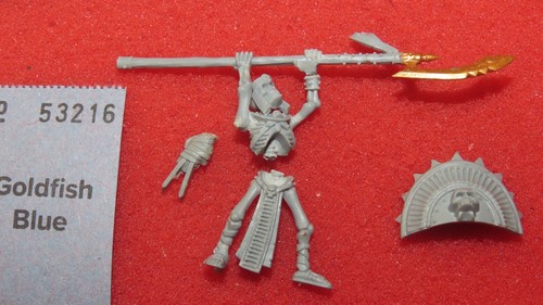 Undead skeleton warrior - skeleton,