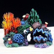 Landscape coral fish - landscape,