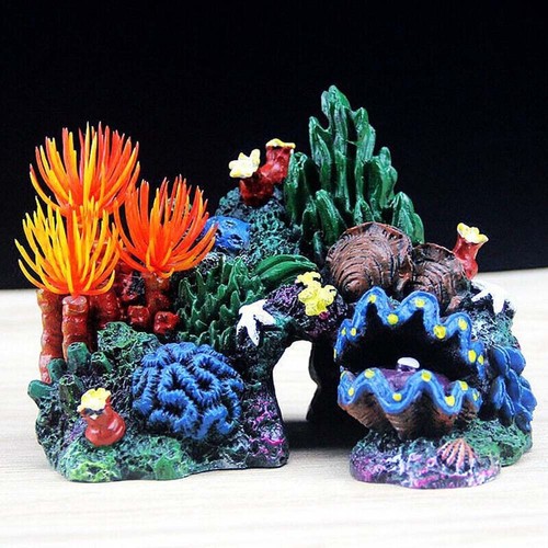 Landscape coral fish tank - coral,