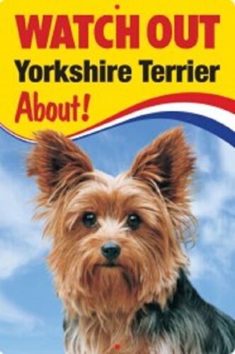 Yorkshire terrier welcome - yorkshire,