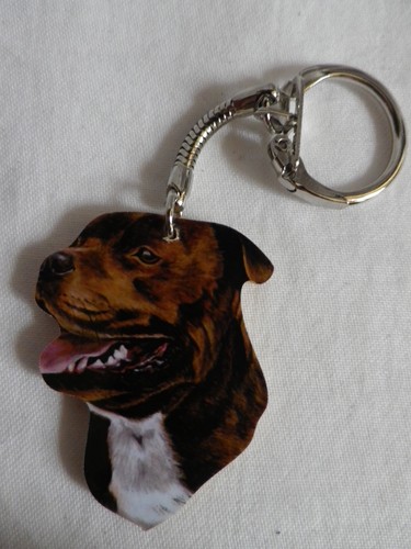 Brown staffy staffordshire - brown,
