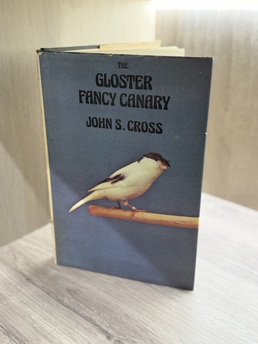 The gloster fancy canary john - gloster,