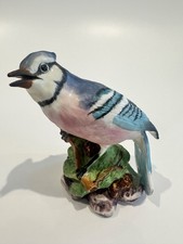 Royal Worcester - BLUE JAY -