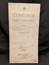 Large Concorde Flight