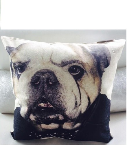 Printed cushion cover pug - cover, [pug