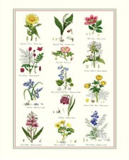 Botanic garden tea towel - botanic,
