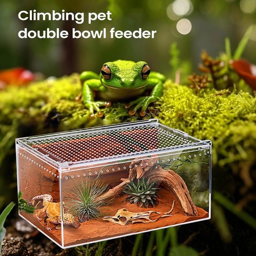 Clear acrylic spider terrarium - acrylic,