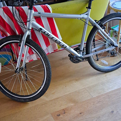 Carrera silver hardtail - carrera,