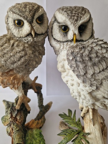 Country artists owl figurines - country,