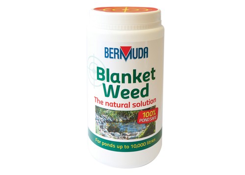 Bermuda blanketweed pond - bermuda, water