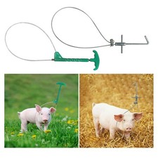 Pig Holder Catcher, Pig