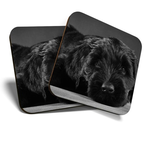 Coasters black - x,