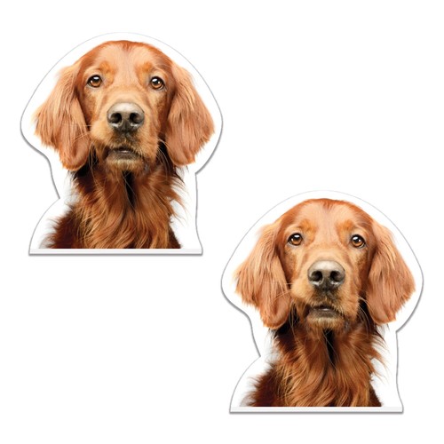 Irish setter dog printed - 2x,