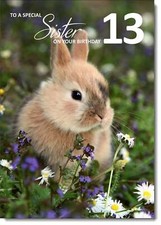 Doodlecards Sister 13th Birthday Card Age 13 Bunny Rabbit