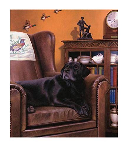 Black labs past - black, times