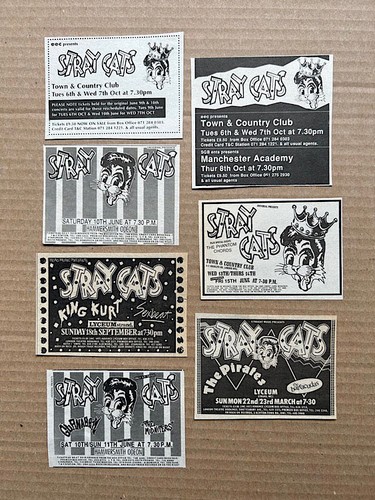 Stray cats small gig - stray,