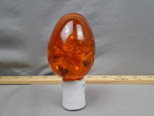 Genuine Amber Fossilized