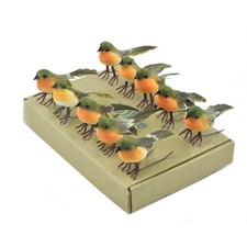 ToSSme 10PCS Robin Bird