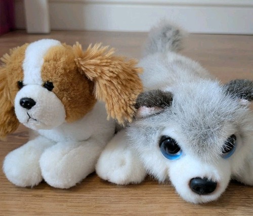 Keel toy dogs cuddle - dogs., puppy
