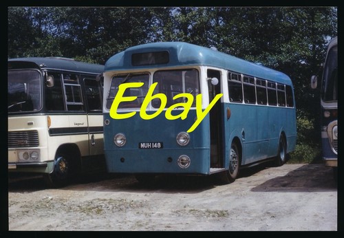 Bus photo leyland tiger cub - photo,,