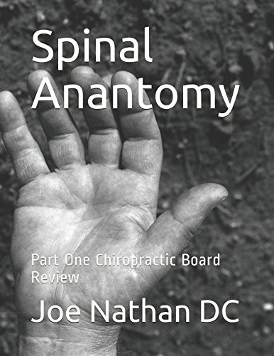Spinal anantomy above down - spinal,