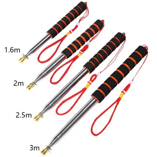 Extendable flagpole stainless - extendable,