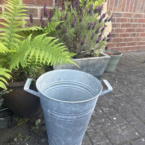 Large tall vintage - tall,