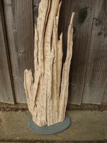 Driftwood sculpture 67cm high - sculpture,