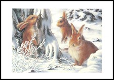 Greeting Card - Cottontail
