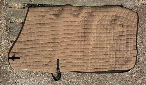 Thermatex rug 6 - thermatex, 4’6”