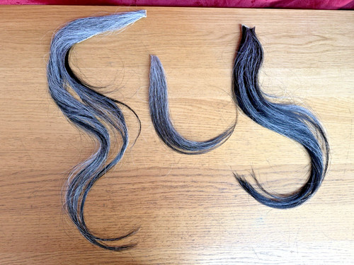 Rocking horse hair for - hair, restore