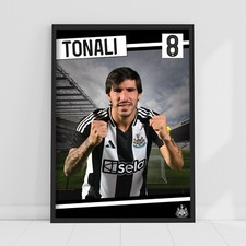 Newcastle United FC Print -