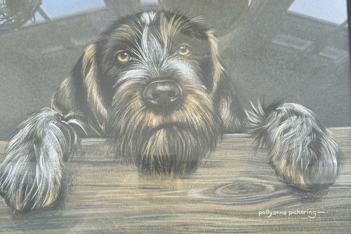 German wirehaired pointer dog - pointer,