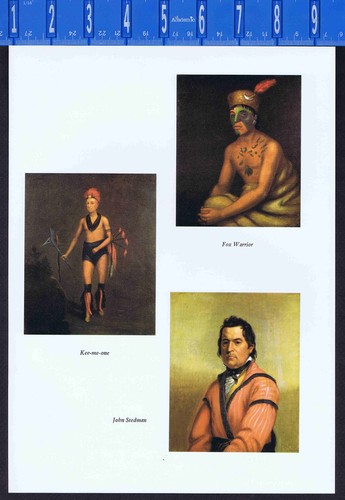 Fox warrior kee - warrior,, john