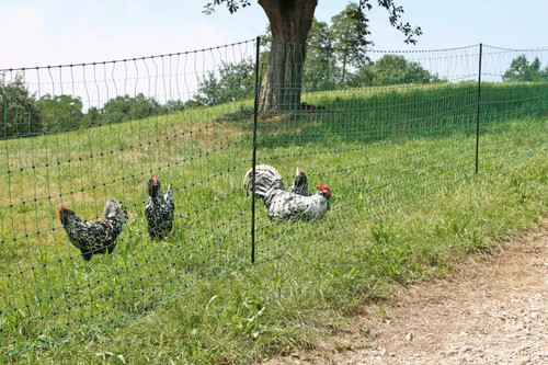 50m poultry netting - 50m,