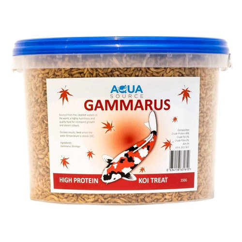 Aqua source gammarus koi - gammarus,