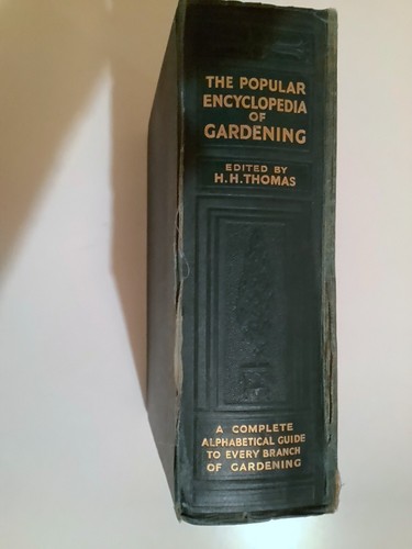 Old bound popular - old,